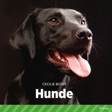 Hunde - Cecilie Bogh