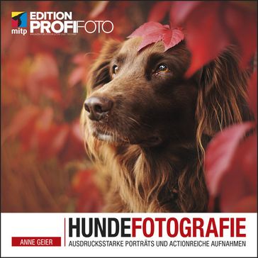 Hundefotografie - Anne Geier