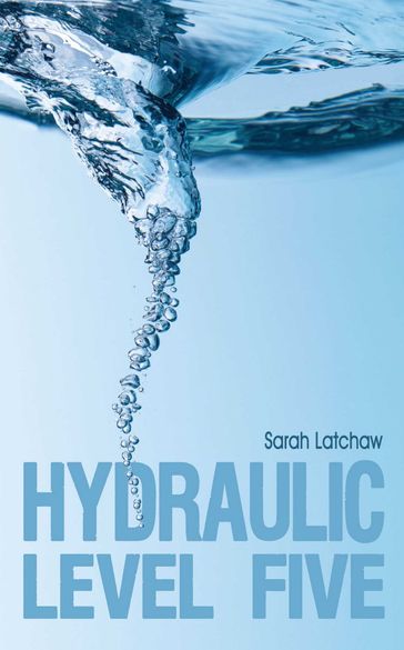 Hydraulic Level 5 - Sarah Latchaw
