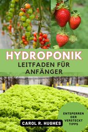 Hydroponik Leitfaden für Anfänger