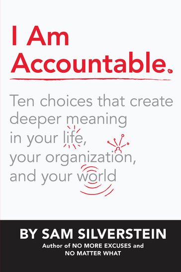 I Am Accountable - Sam Silverstein