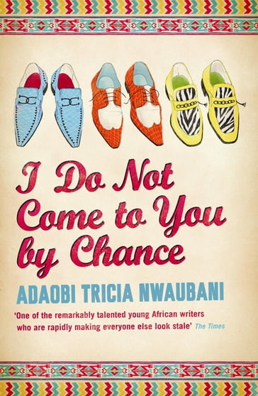 I Do Not Come to You by Chance - Adaobi Tricia Nwaubani