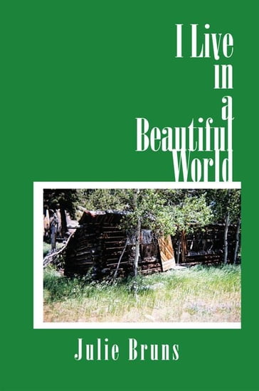 I Live in a Beautiful World - Julie Bruns