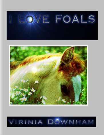 I Love Foals - Virinia Downham