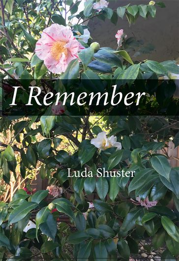 I Remember - Luda Shuster