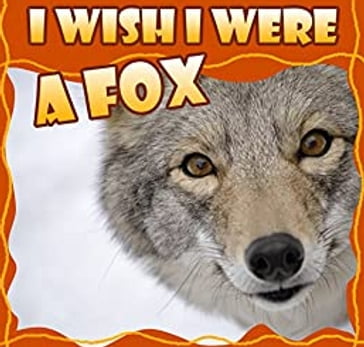 I Wish I Were a FOX - Dan Jackson