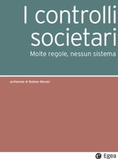 I controlli societari