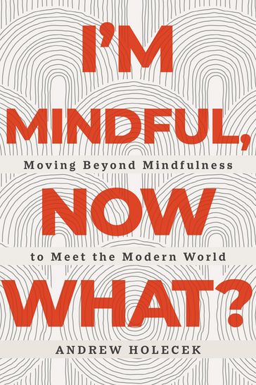 I'm Mindful, Now What? - Andrew Holecek