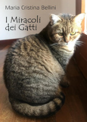 I miracoli dei gatti