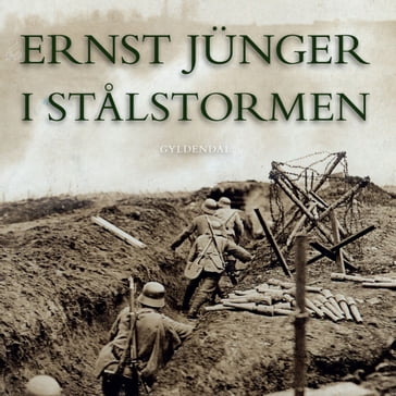 I stalstormen - Ernst Junger