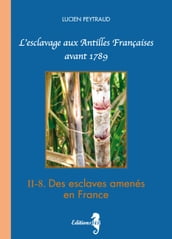 II-8 Des esclaves amenés en France