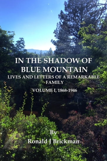 IN THE SHADOW OF BLUE MOUNTAIN - Ronald J Brickman