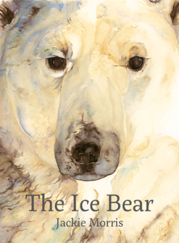 Ice Bear, The - Jackie Morris