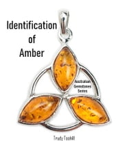 Identification of Amber
