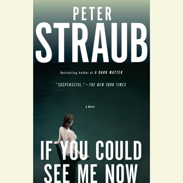 If You Could See Me Now - Peter Straub