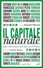 Il capitale naturale