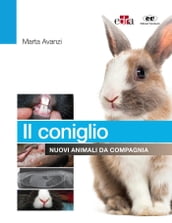 Il coniglio