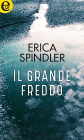 Il grande freddo (eLit)