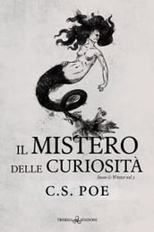 Il mistero delle curiosità