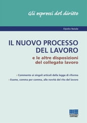 Il nuovo processo del lavoro