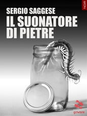 Il suonatore di pietre