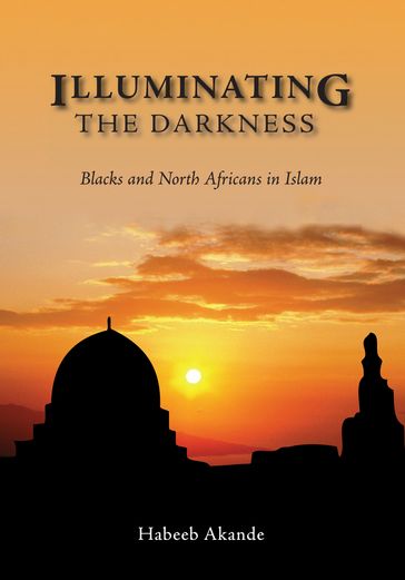 Illuminating the Darkness - Habeeb Akande