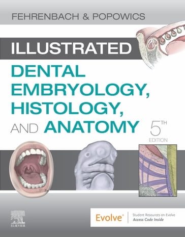 Illustrated Dental Embryology, Histology, and Anatomy E-Book - RDH  MS Margaret J. Fehrenbach - PhD Tracy Popowics