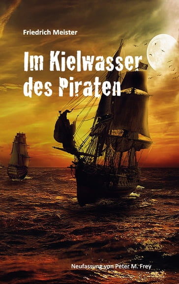 Im Kielwasser des Piraten - Friedrich Meister