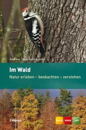 Im Wald