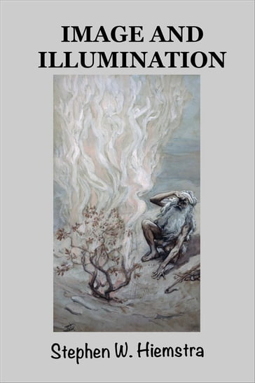 Image and Illumination - Stephen W. Hiemstra