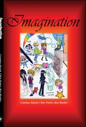 Imagination