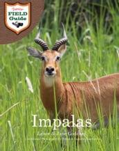 Impalas