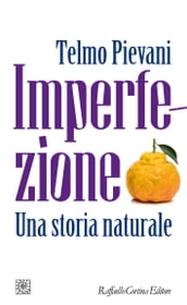 Imperfezione