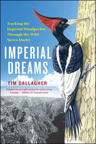 Imperial Dreams - Tim Gallagher