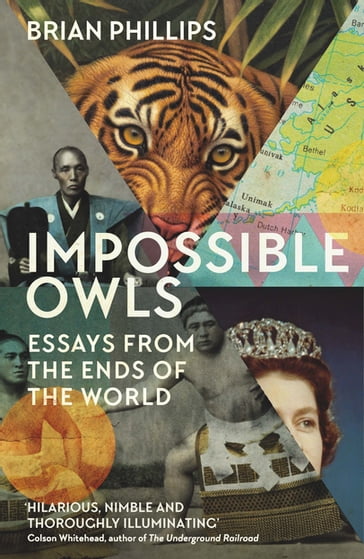 Impossible Owls - Brian Phillips