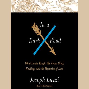 In A Dark Wood - Joseph Luzzi