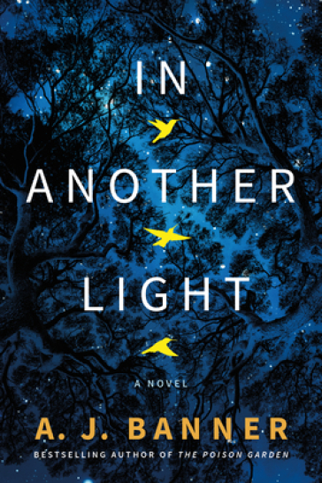In Another Light - A. J. Banner