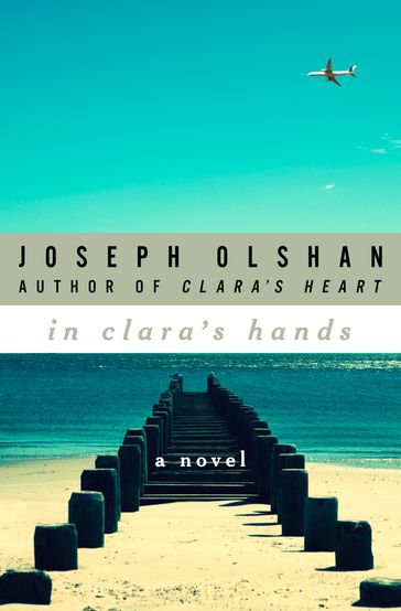 In Clara's Hands - Joseph Olshan