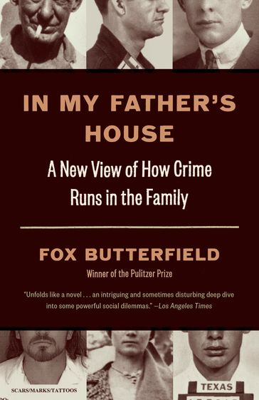 In My Father's House - Fox Butterfield