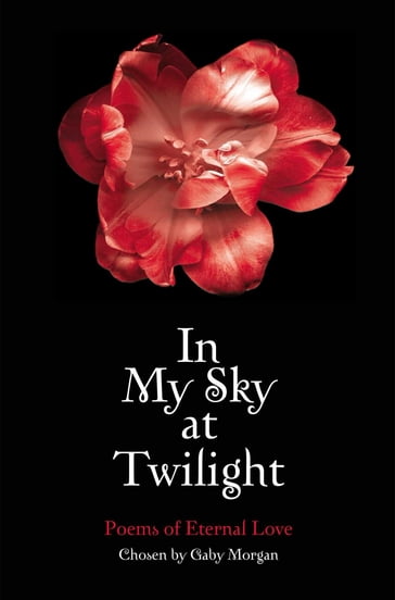 In My Sky at Twilight - Gaby Morgan