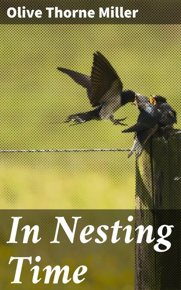 In Nesting Time - Olive Thorne Miller