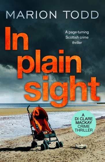 In Plain Sight - Marion Todd