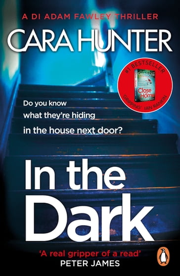 In The Dark - Cara Hunter