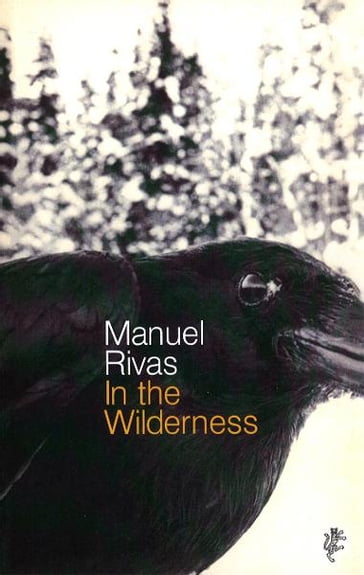 In The Wilderness - Manuel Rivas