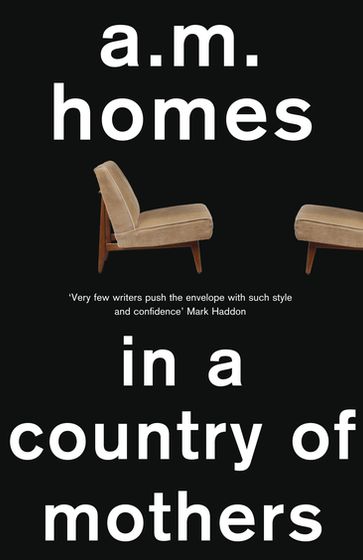In a Country Of Mothers - A.M. Homes