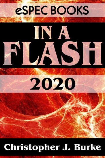 In a Flash 2020 - Christopher J. Burke