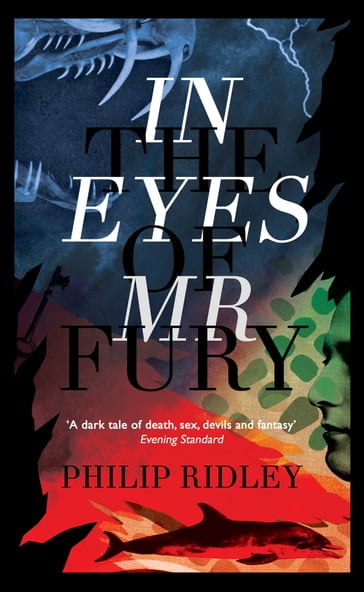In the Eyes of Mr Fury - Philip Ridley