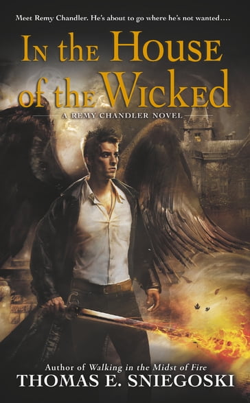 In the House of the Wicked - Thomas E. Sniegoski