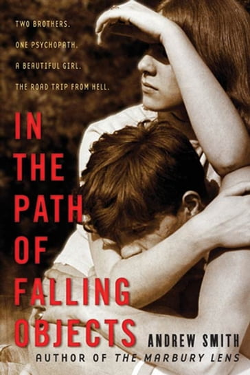 In the Path of Falling Objects - Andrew Smith