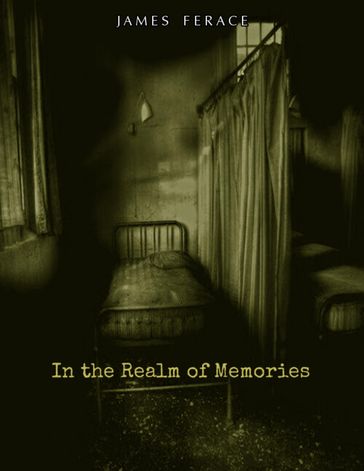 In the Realm of Memories - James Ferace